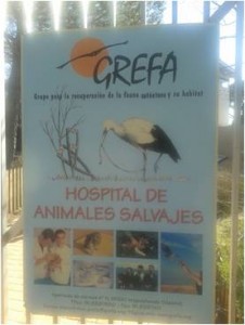 grefa1